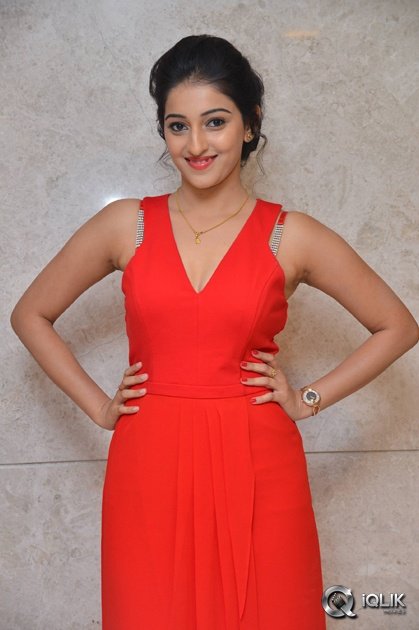 Mouryani-At-Intlo-Dayyam-Nakem-Bhayyam-Movie-Trailer-Launch